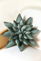 Succulent Decor Pillow
