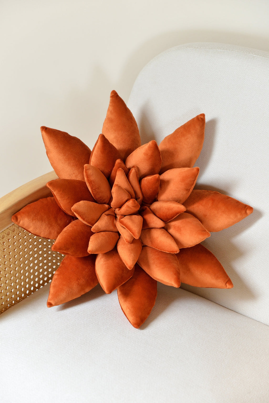 Succulent Decor Pillow