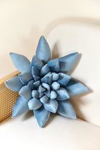 Succulent Decor Pillow