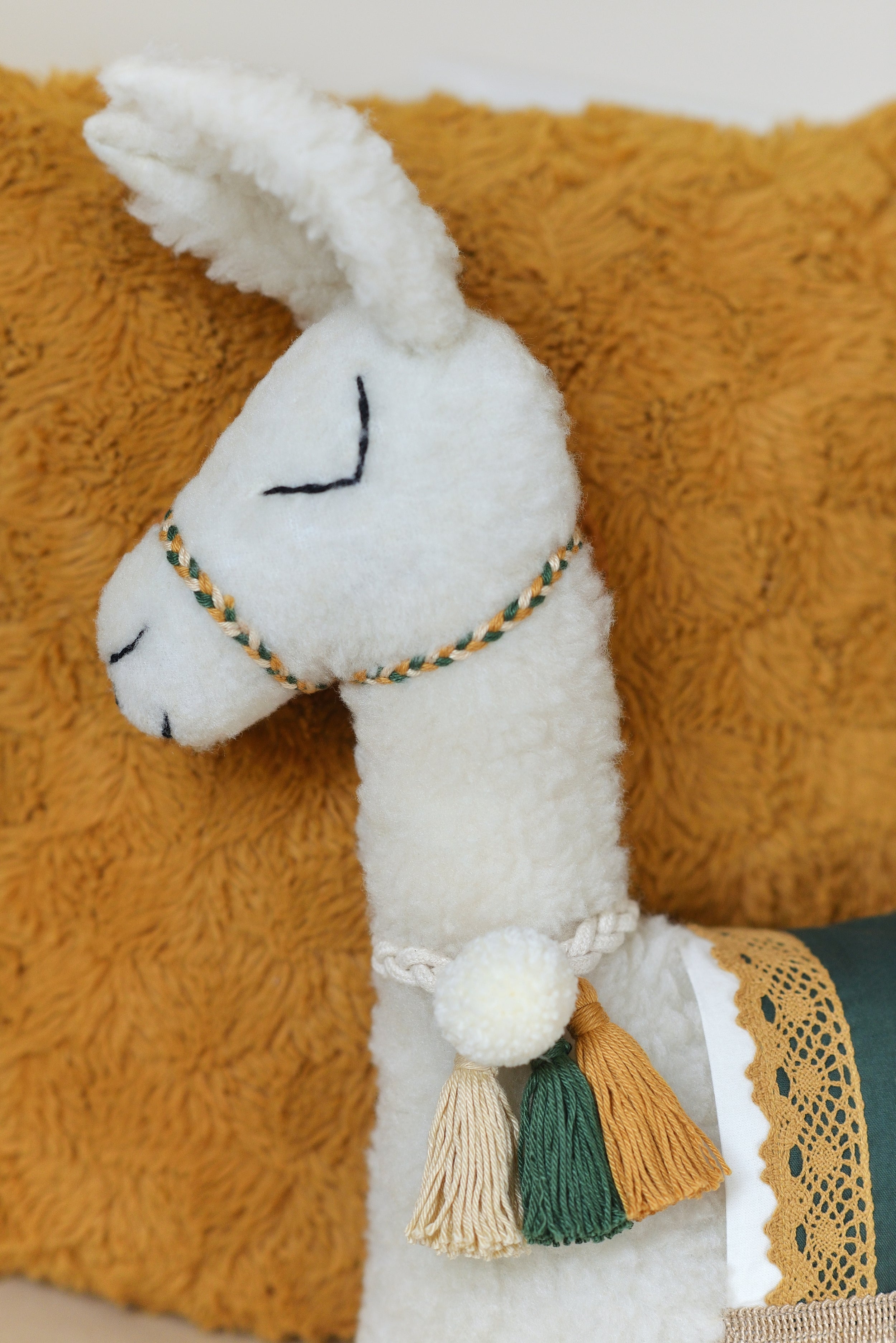 Andean Pillow Set