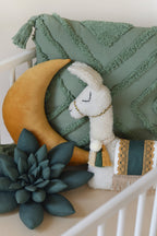 Andean Pillow Set