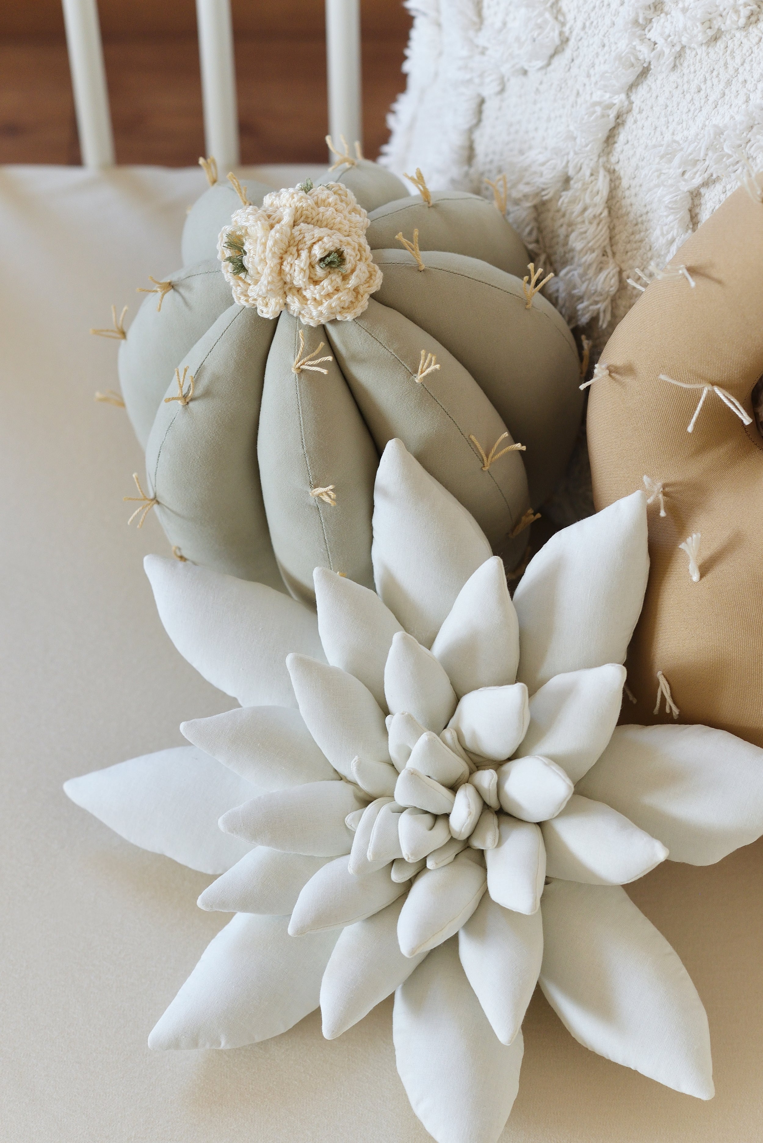 Cactus Pillow Set
