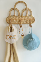 Boys Milestone Bib