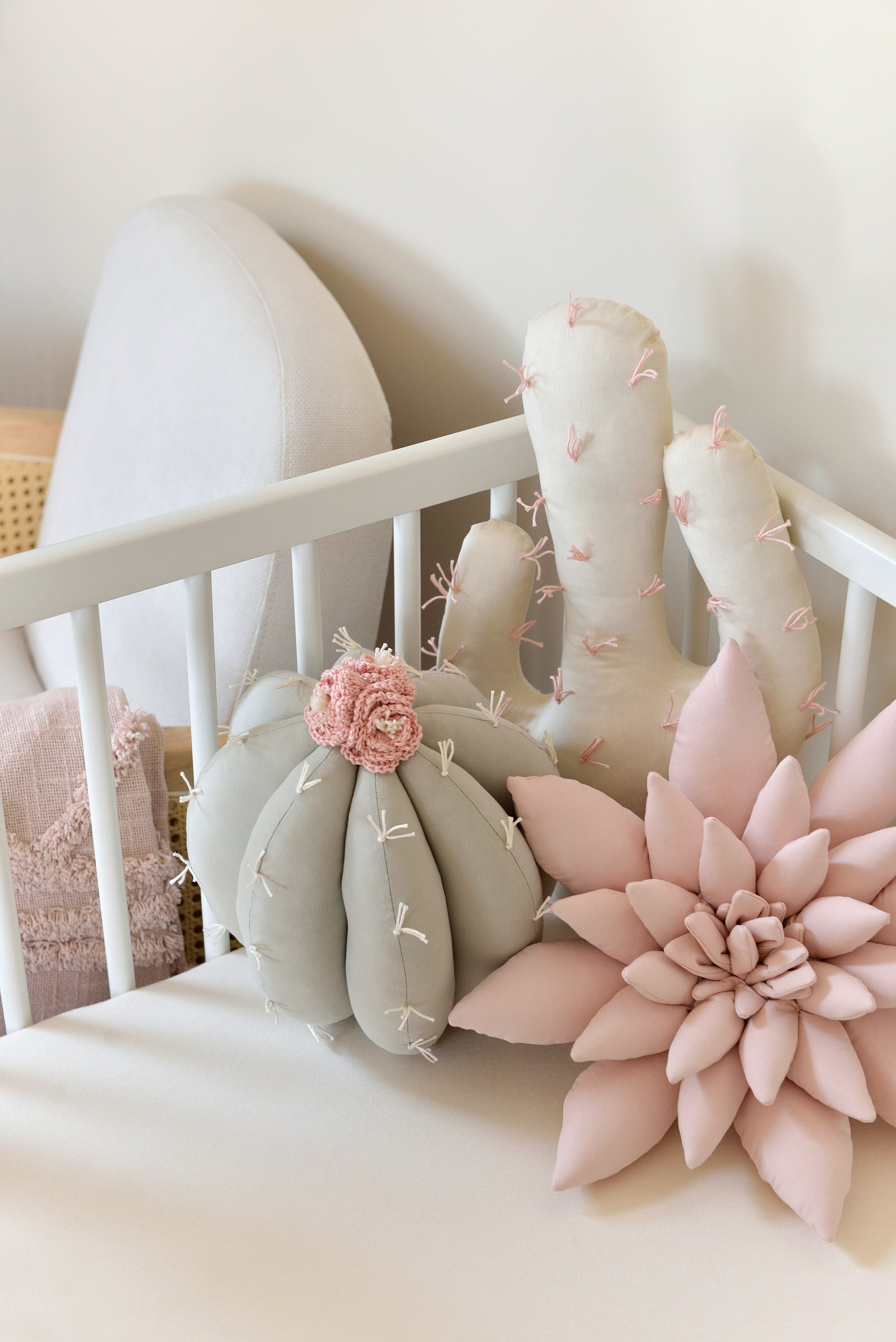 Cactus Pillow Set
