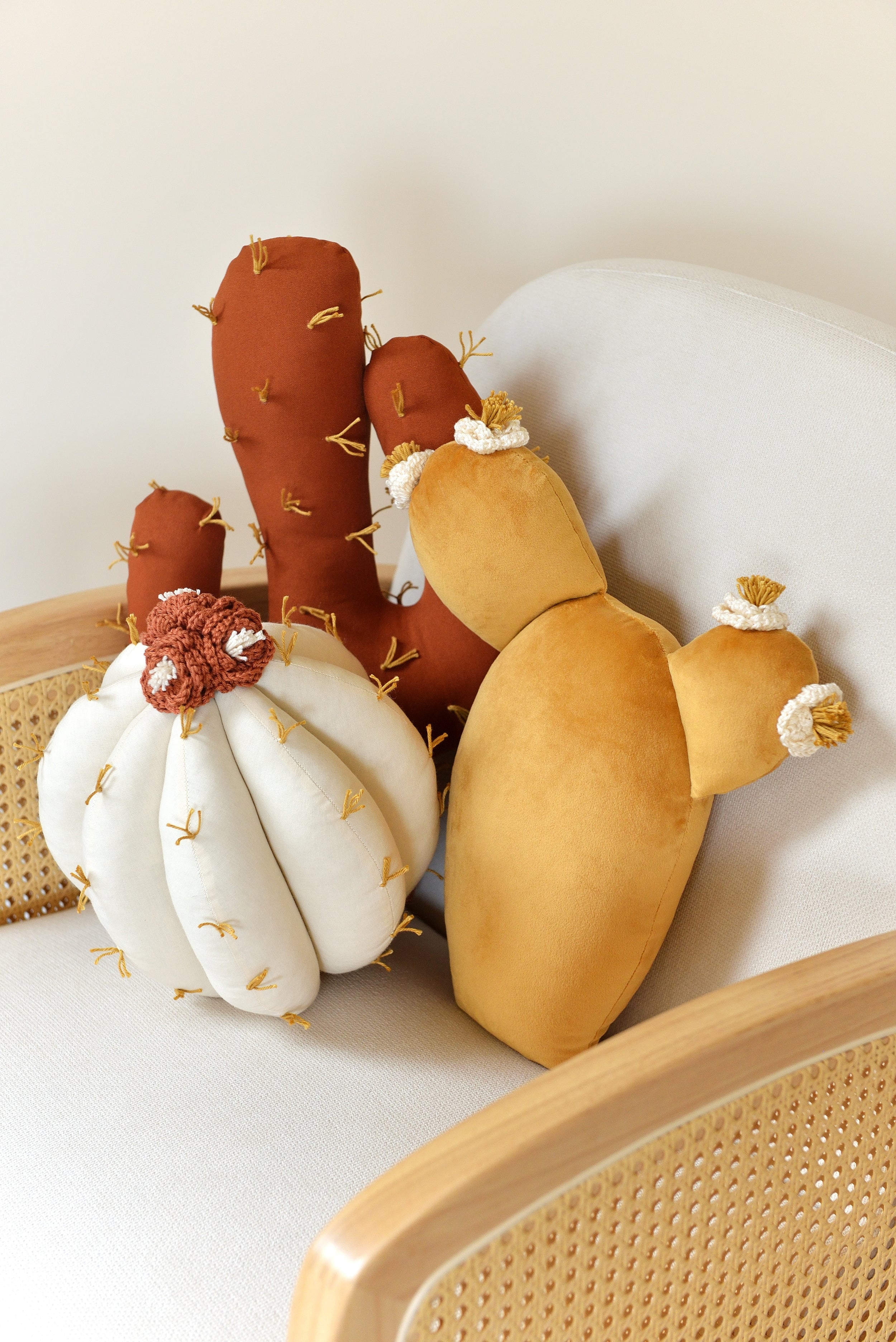 Cactus Pillow Set