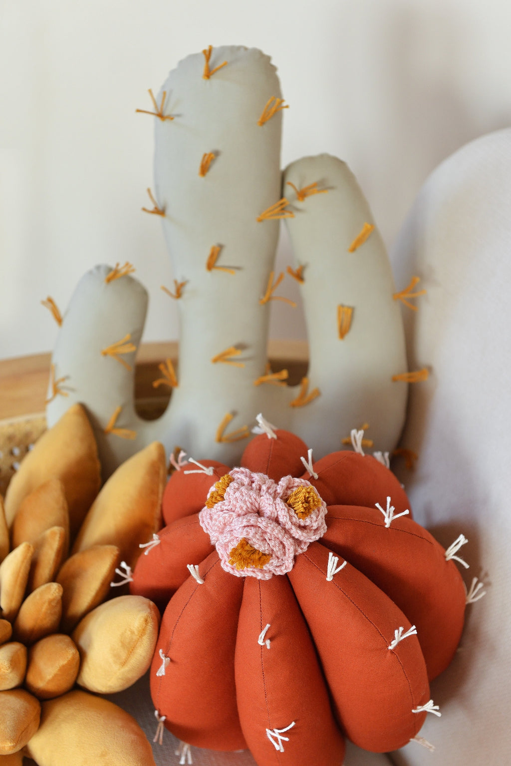 Cactus Pillow Set