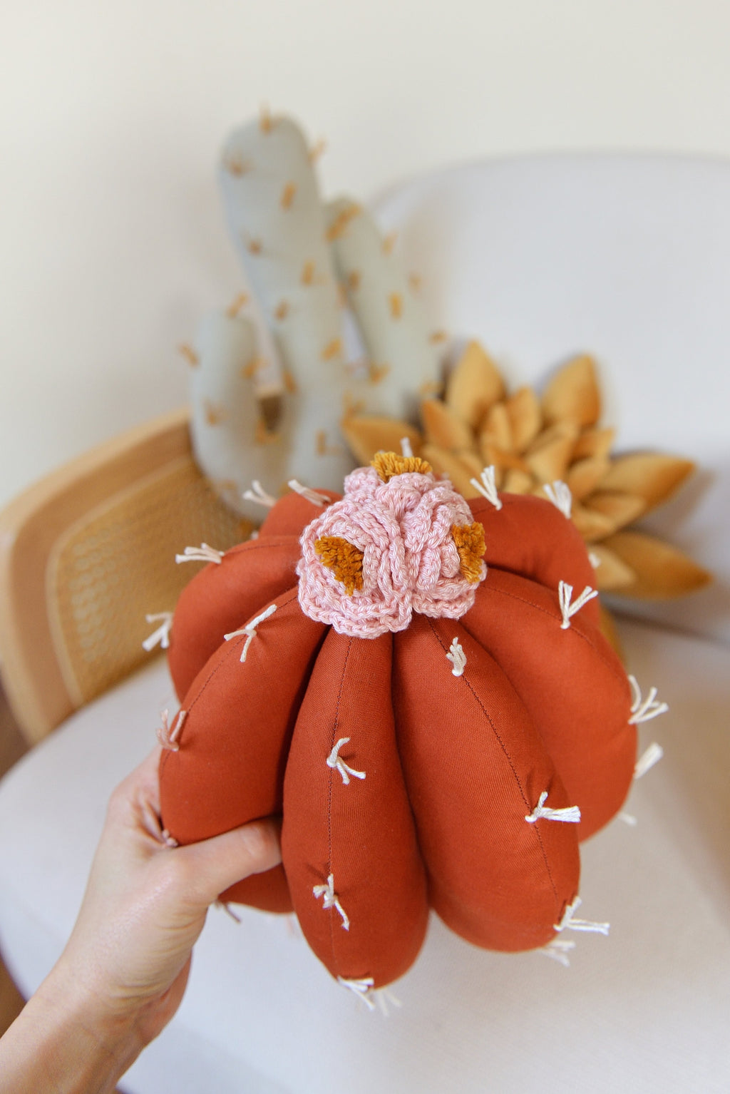 Cactus Pillow Set