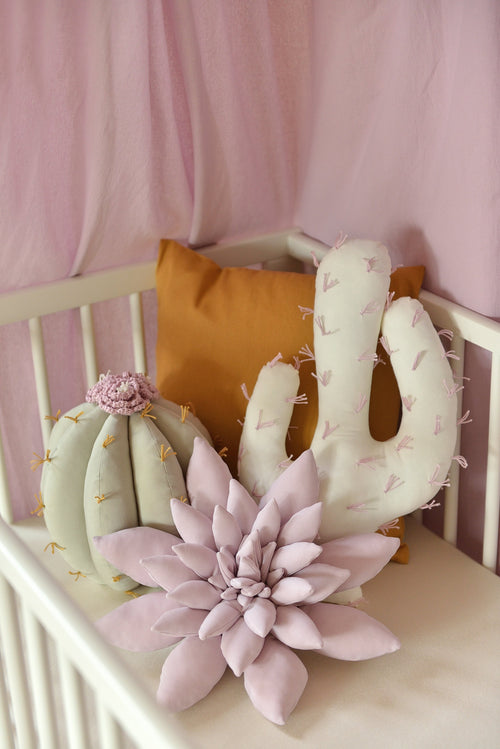 Cactus Pillow Set