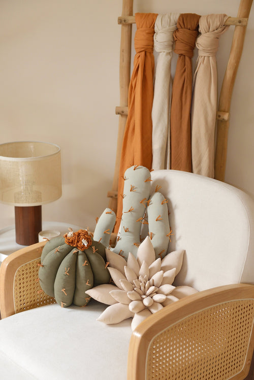 Cactus Pillow Set