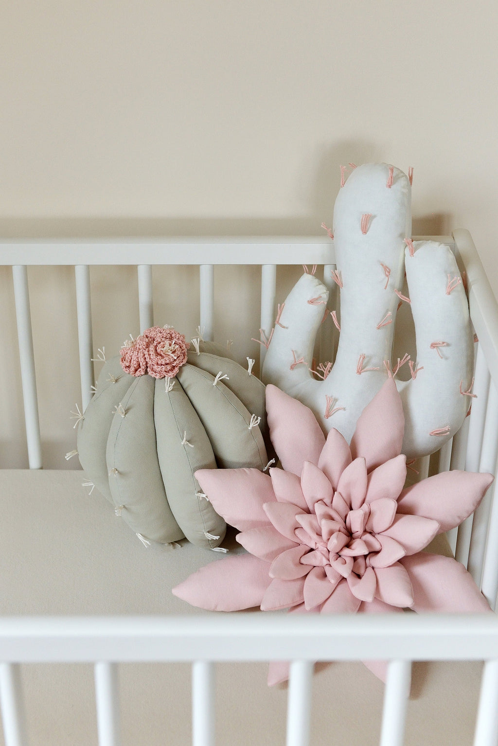 Cactus Pillow Set