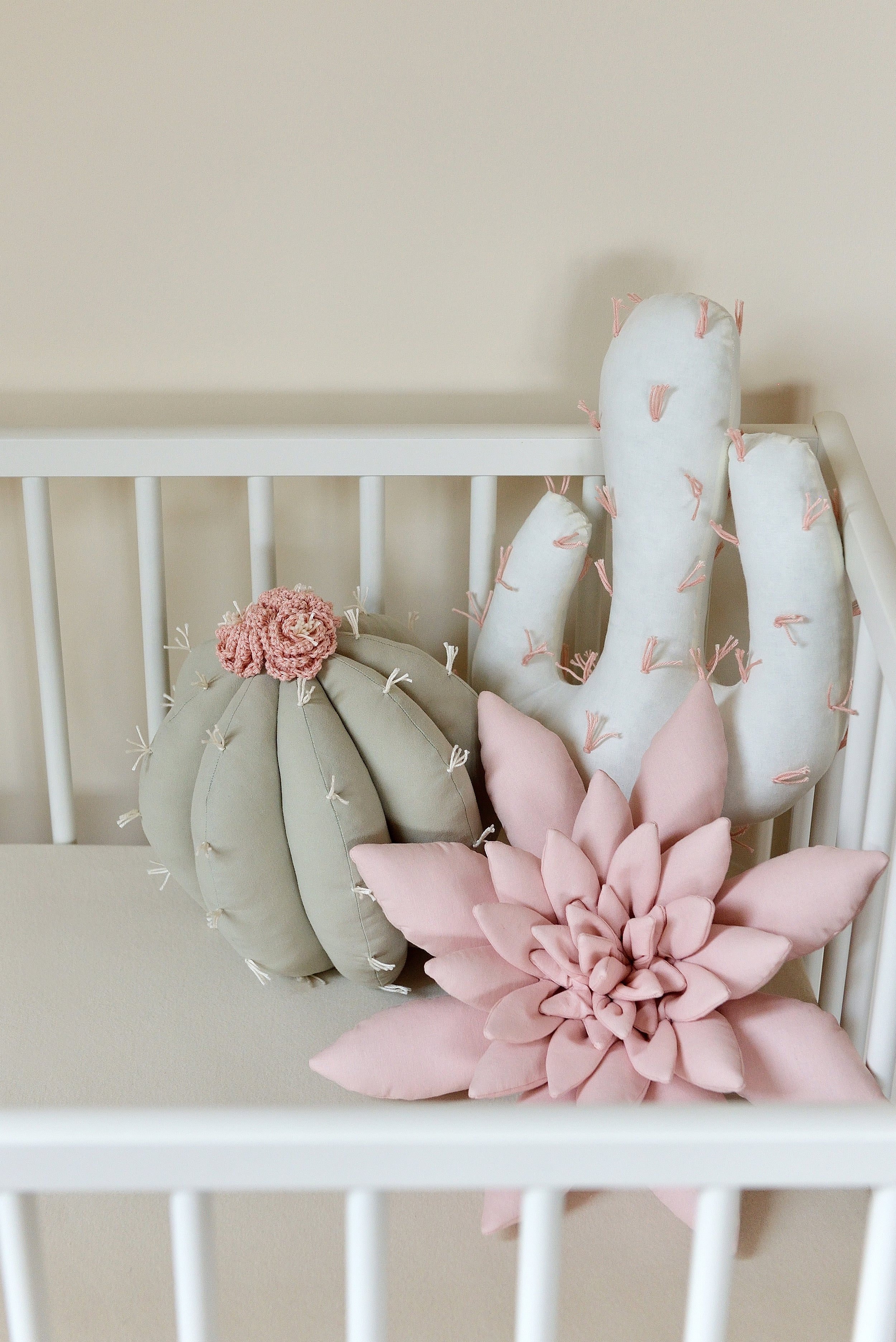 Cactus Pillow Set
