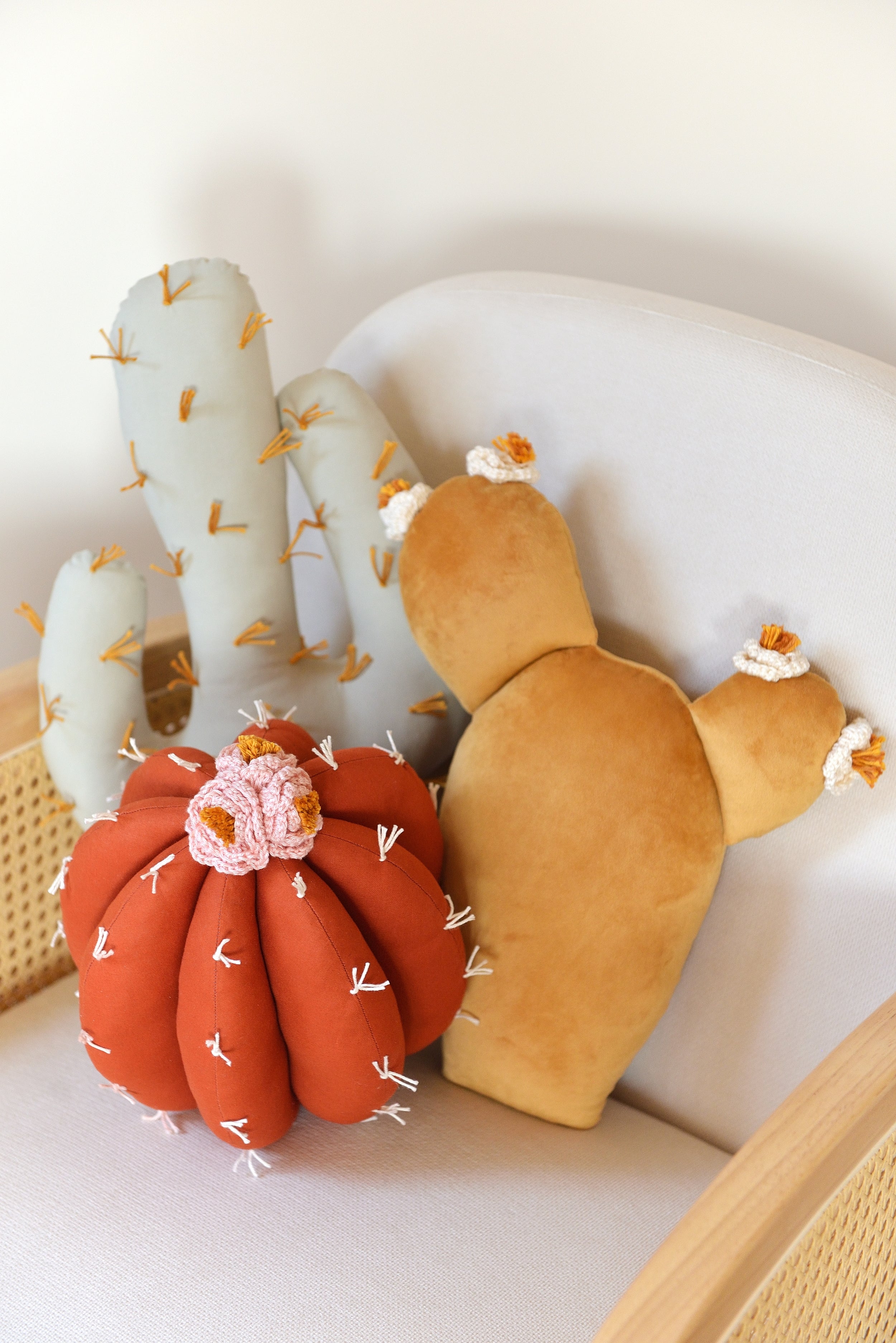 Cactus Pillow Set