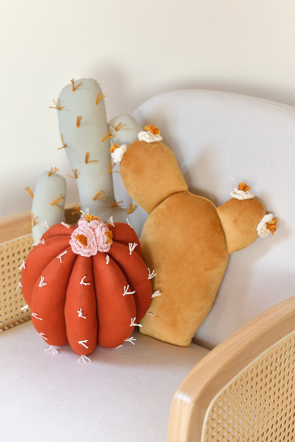 Cactus Pillow Set