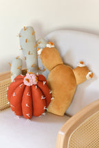 Cactus Pillow Set