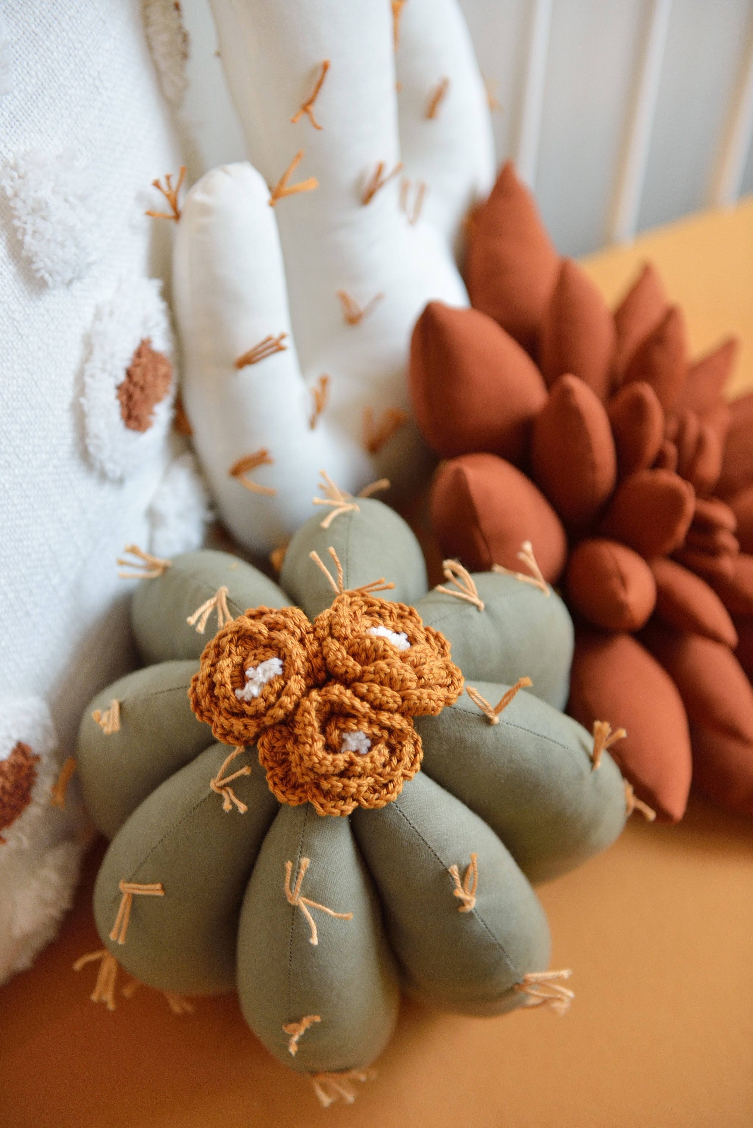 Cactus Pillow Set