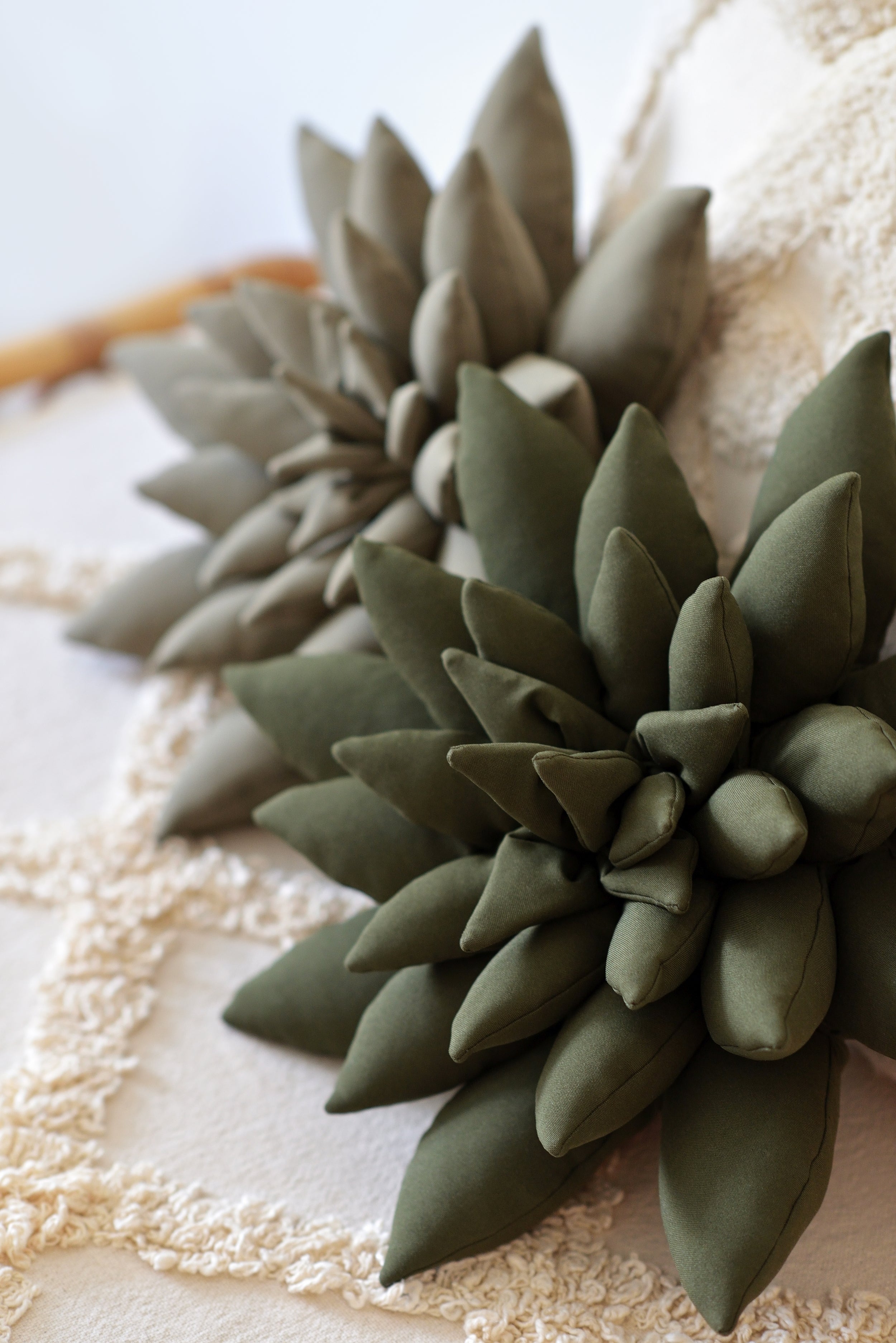 Succulent Decor Pillow