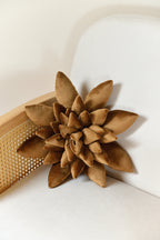 Succulent Decor Pillow