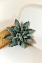 Succulent Decor Pillow