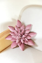 Succulent Decor Pillow