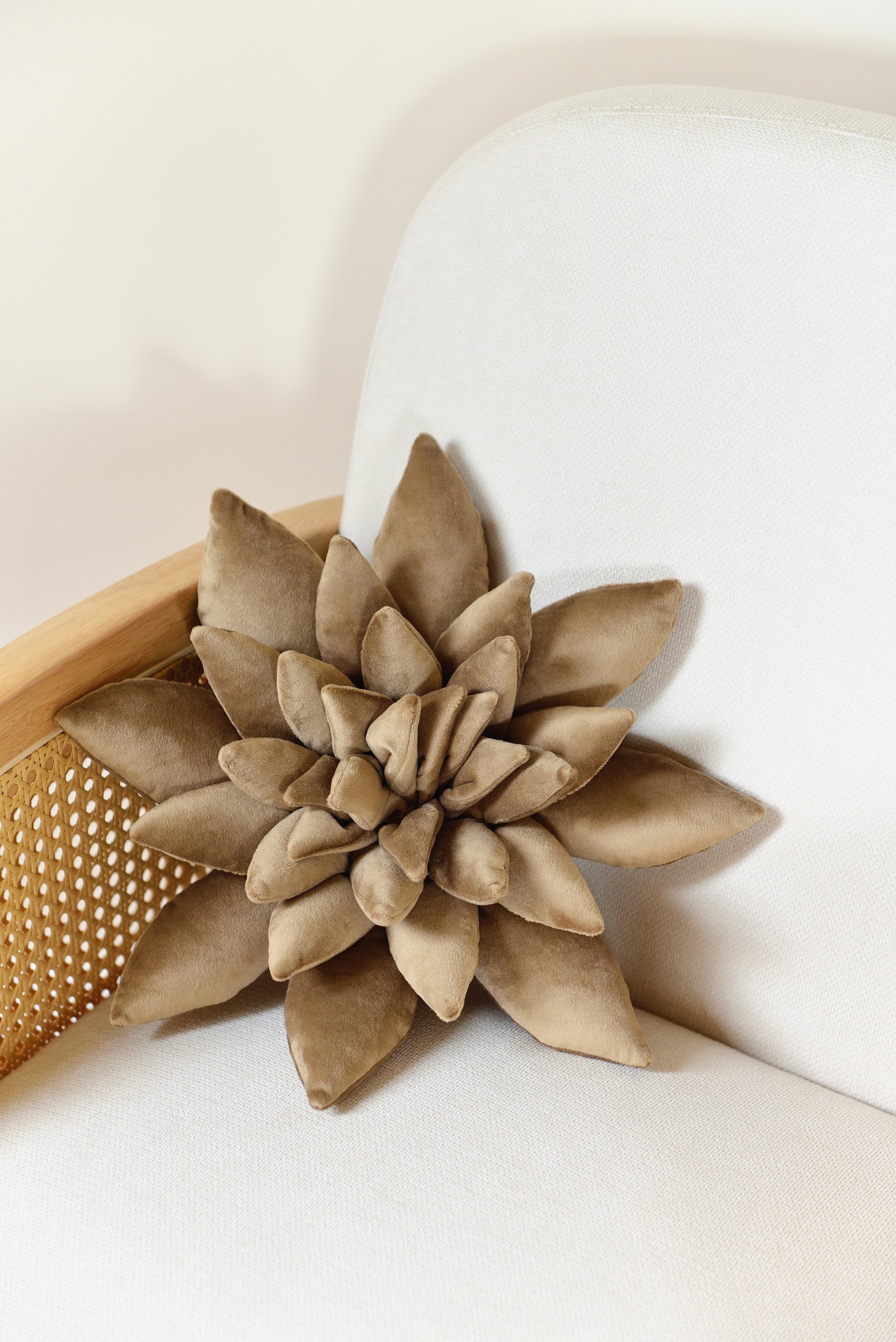 Succulent Decor Pillow