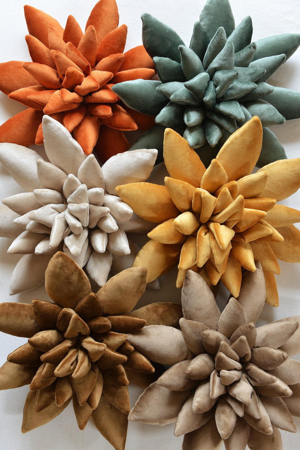Succulent Decor Pillow