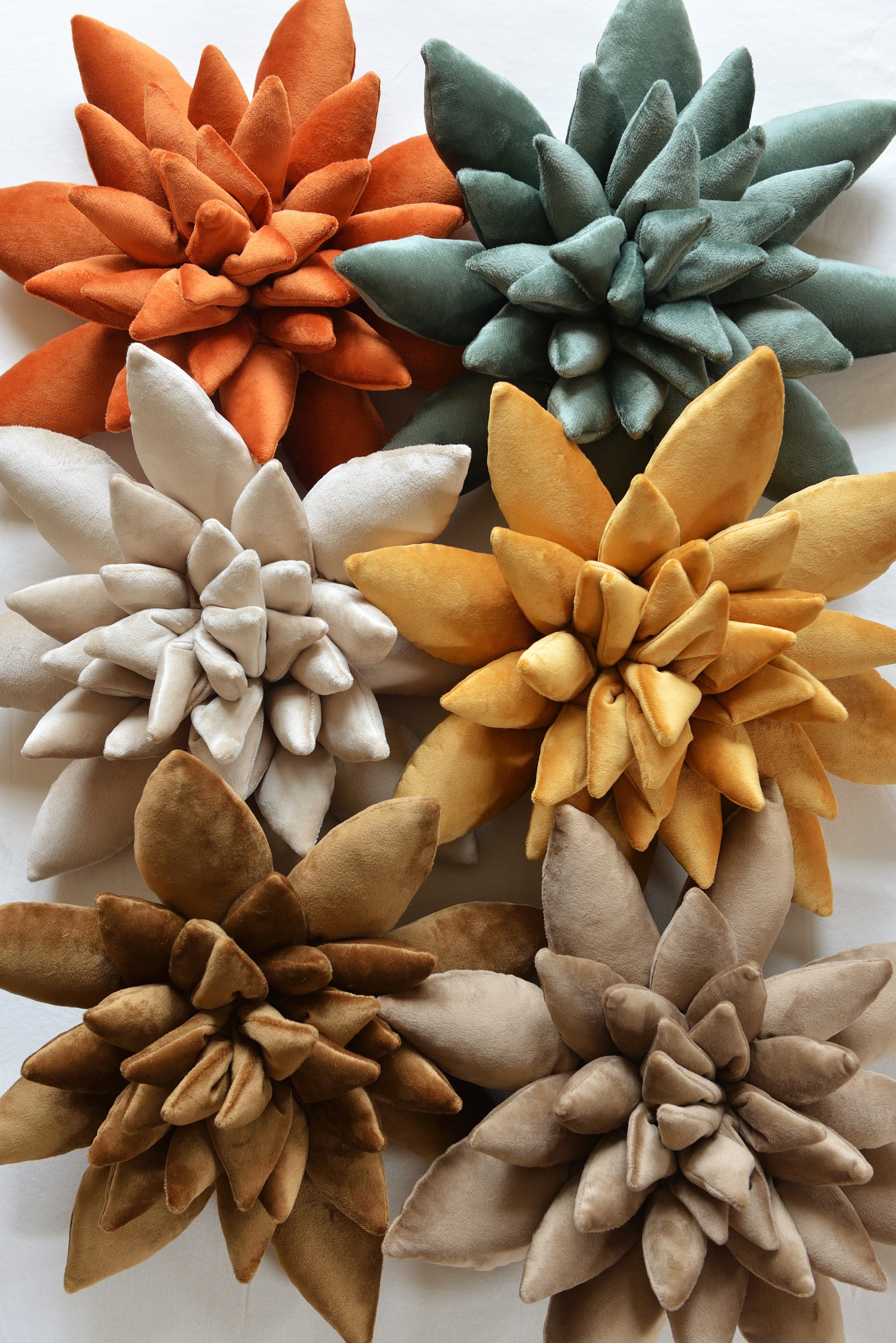 Succulent Decor Pillow