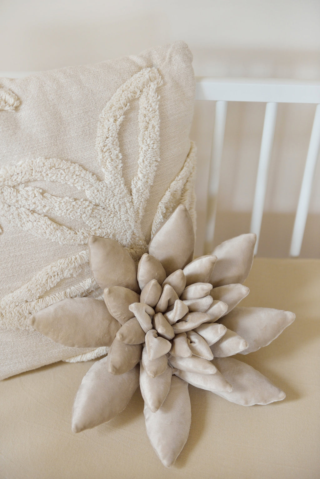 Succulent Decor Pillow