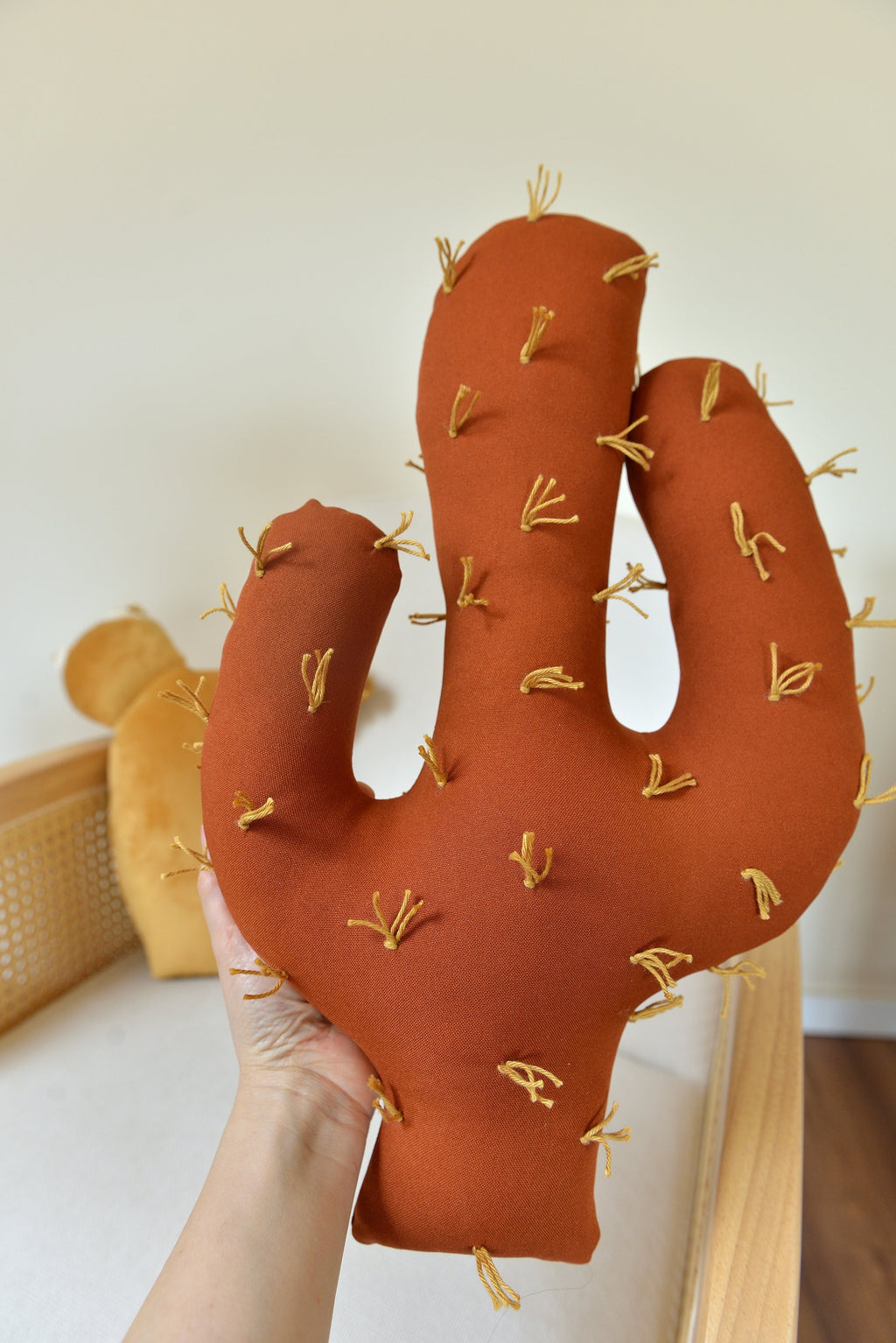 Cactus Pillow Set