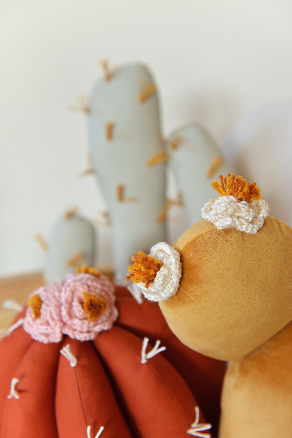 Cactus Pillow Set