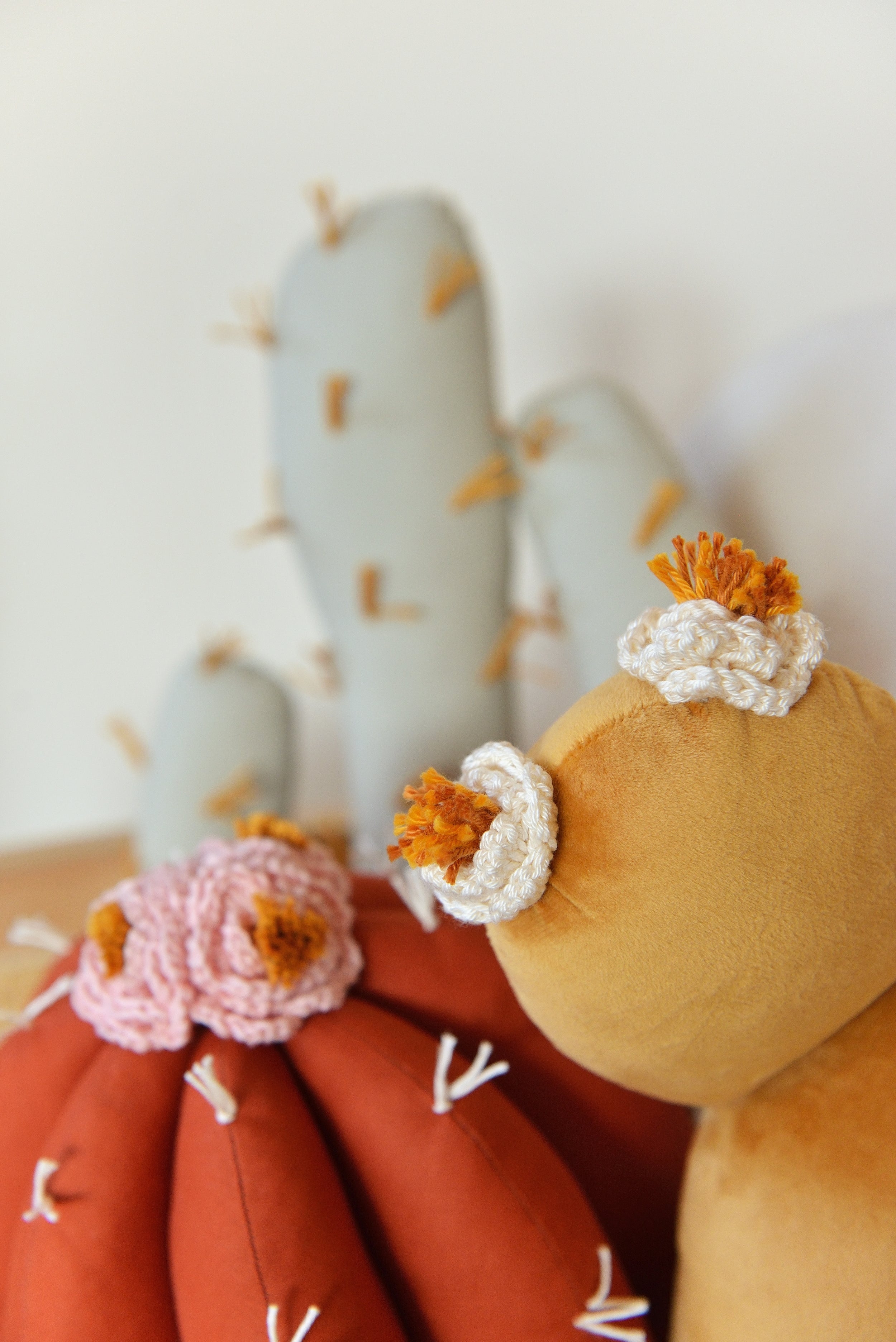 Cactus Pillow Set