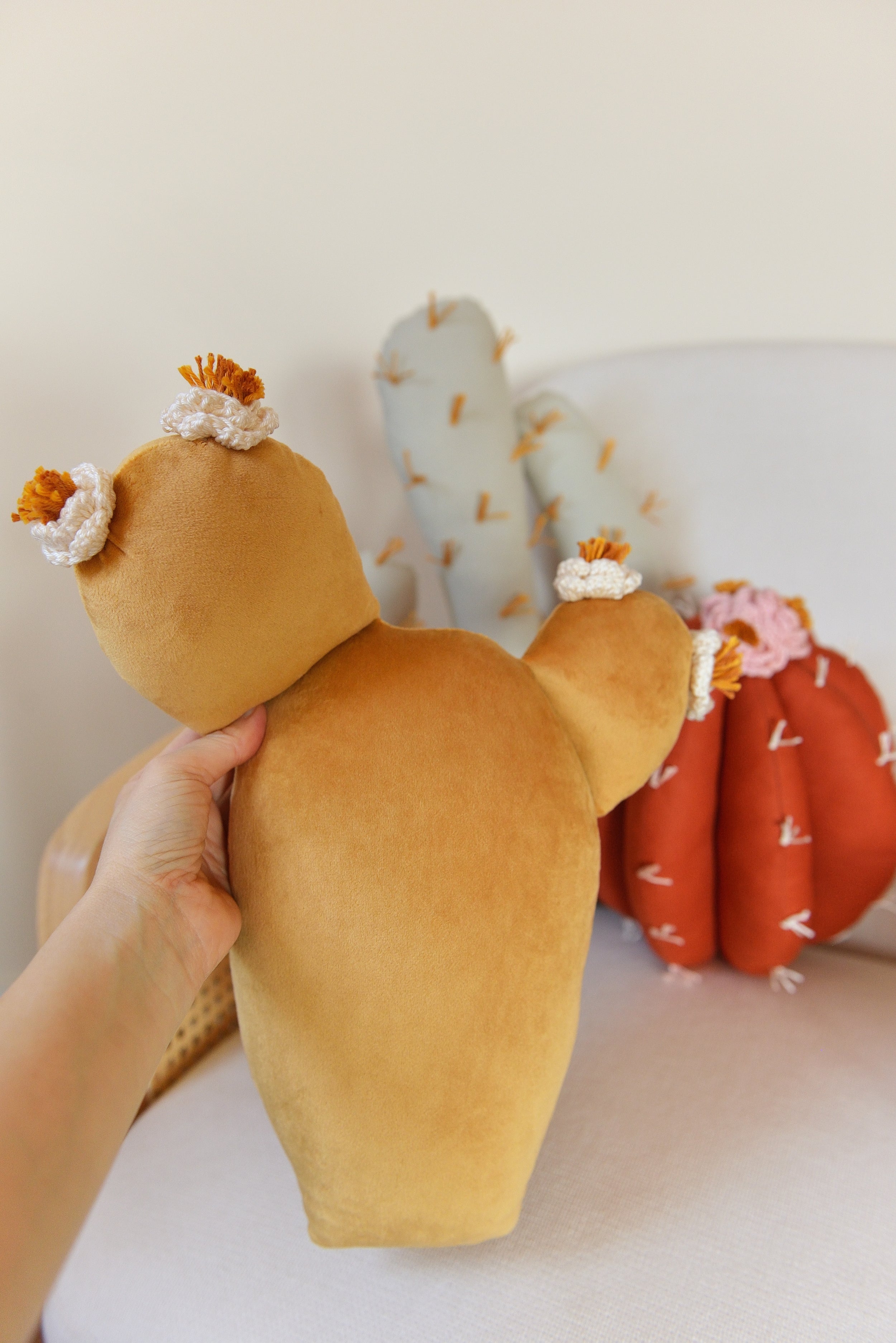Cactus Pillow Set