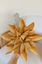 Cactus Pillow Set