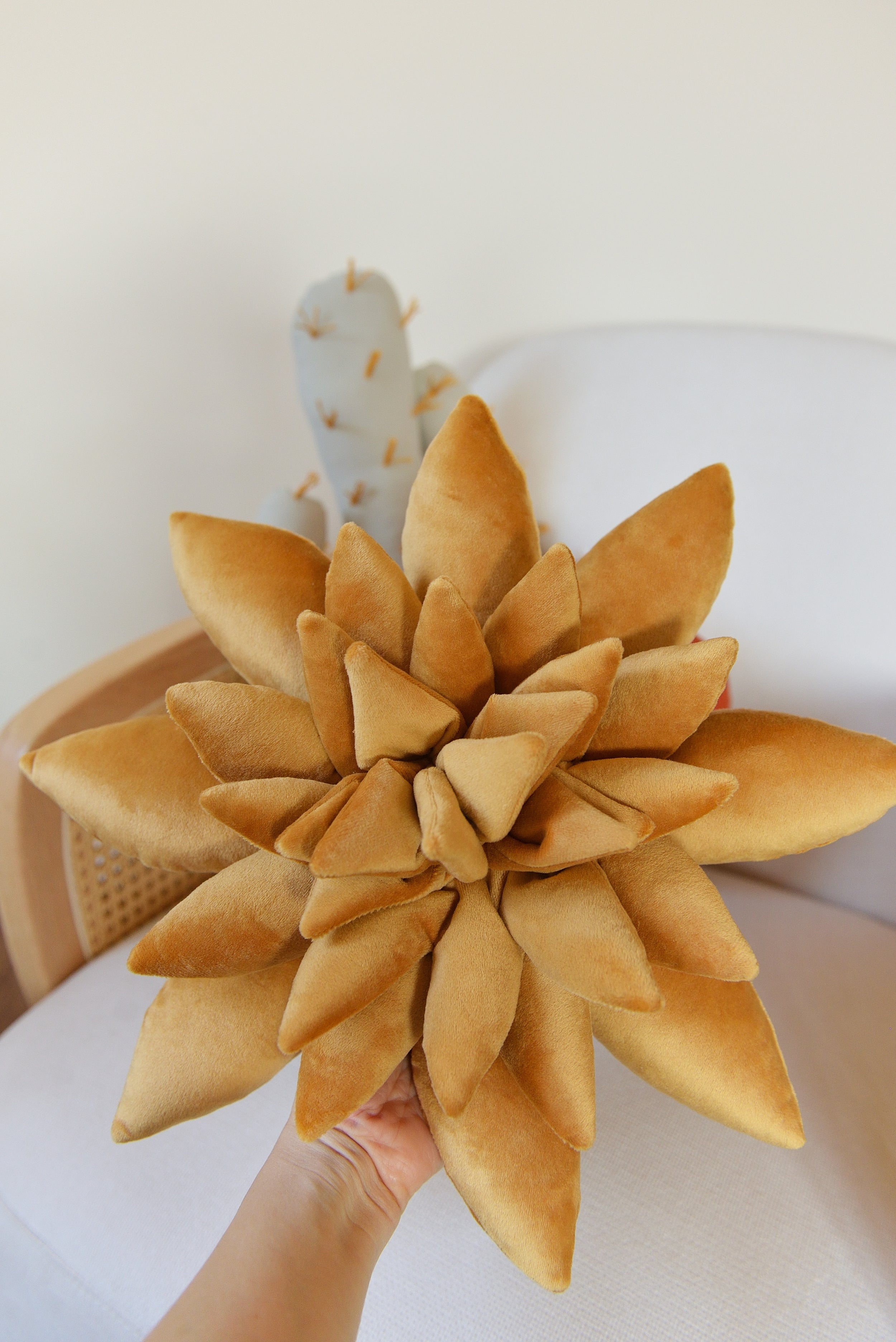 Cactus Pillow Set