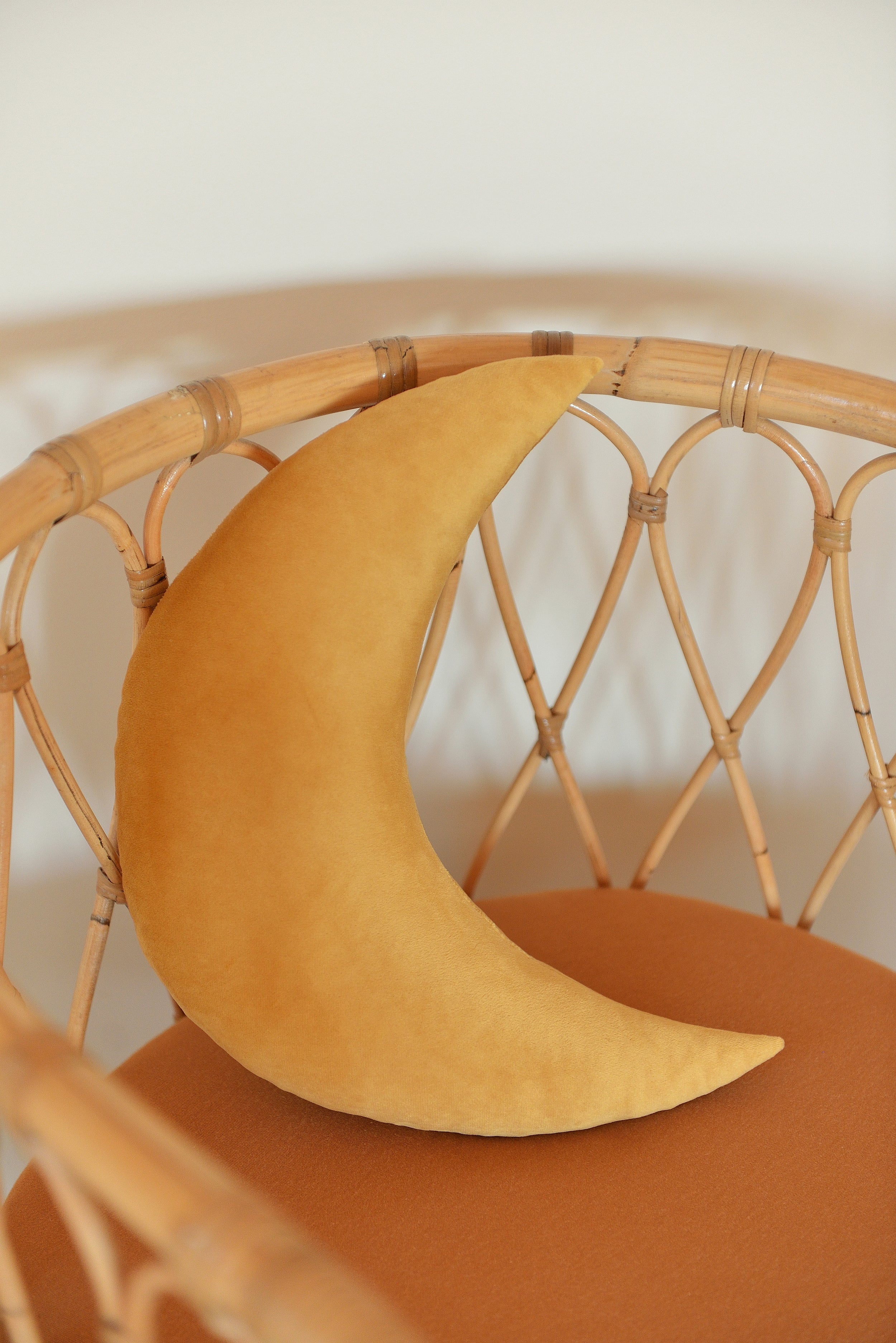 Moon Decor Pillow